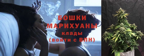 гашик Богданович