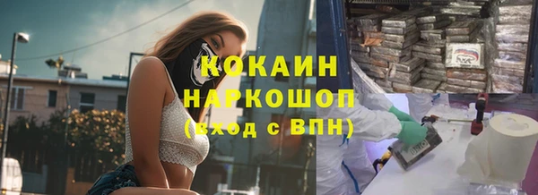 гашик Богданович