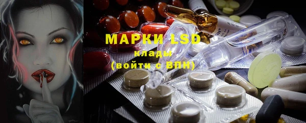 гашик Богданович