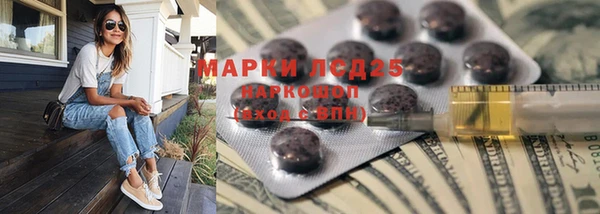 гашик Богданович