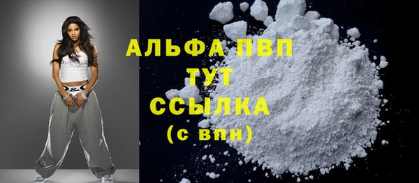 гашик Богданович