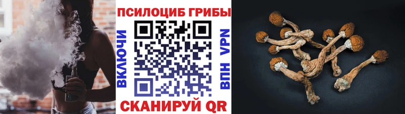 цена   Полесск  Псилоцибиновые грибы Psilocybine cubensis 